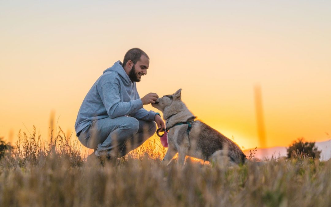 L’intelligence émotionnelle pour éduquer et comprendre votre chien
