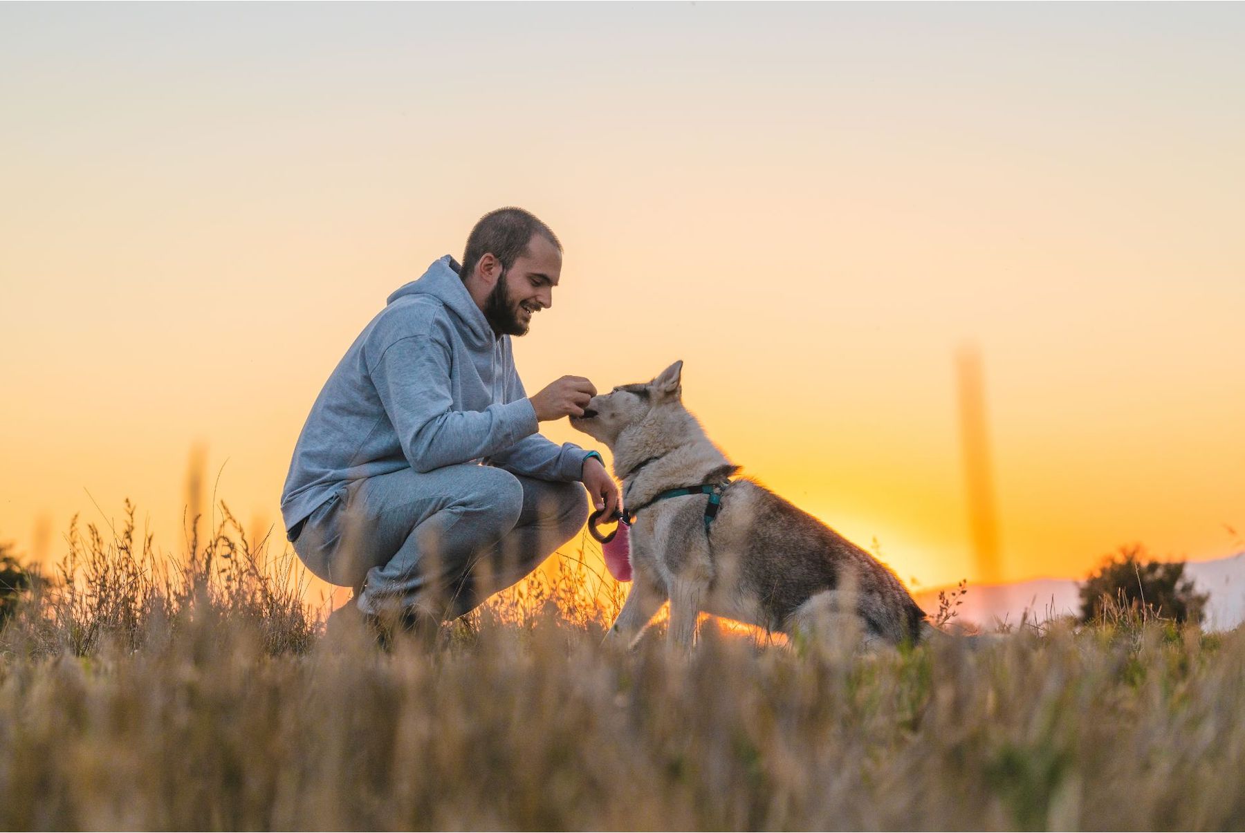 Un jeune homme a l'écoute de son chien