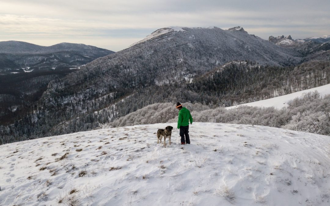 Trois habitudes pour devenir zen grâce à son chien