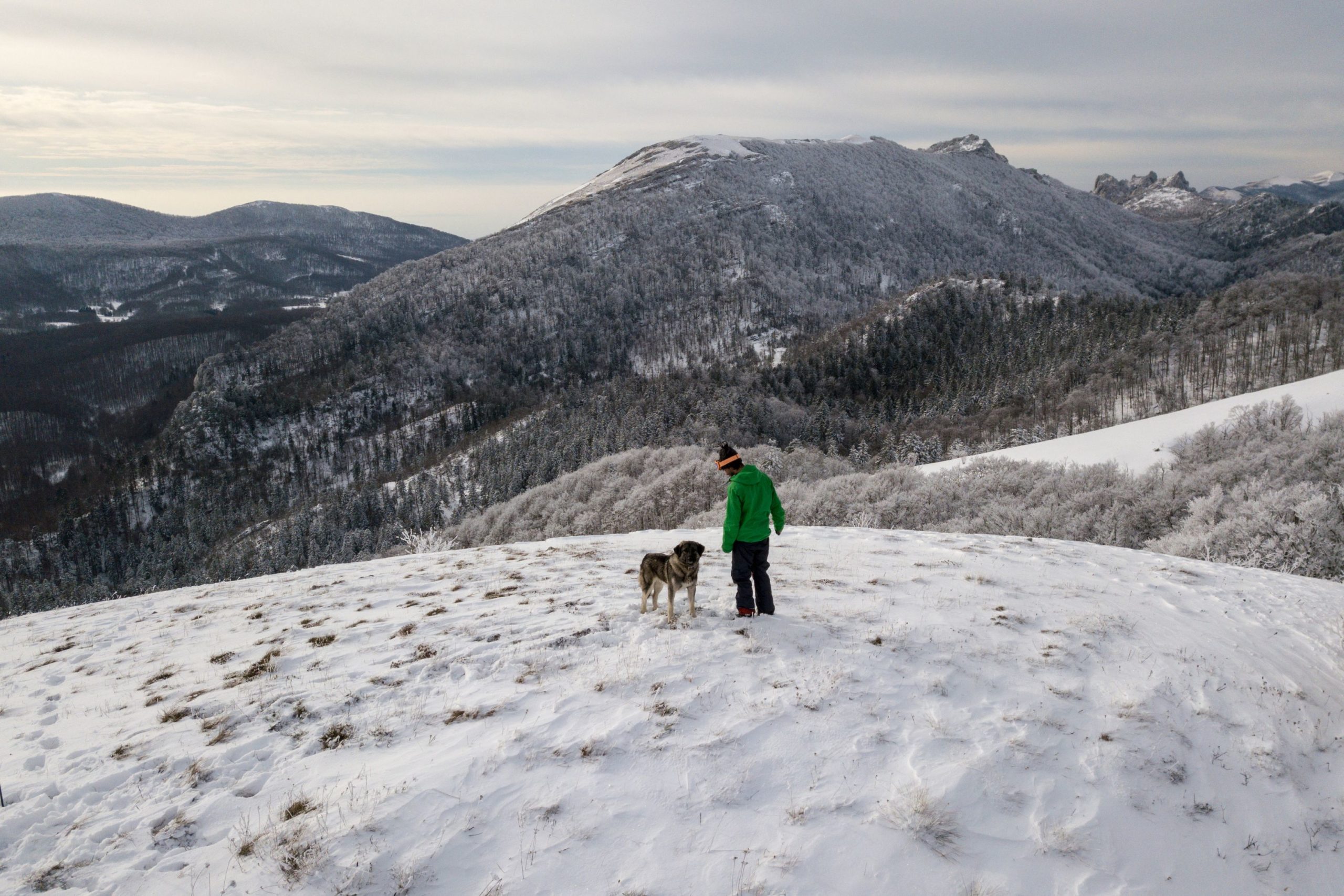 balade-dans-la-neige-habitude-pour-etre-zen-grace-a-son-chien