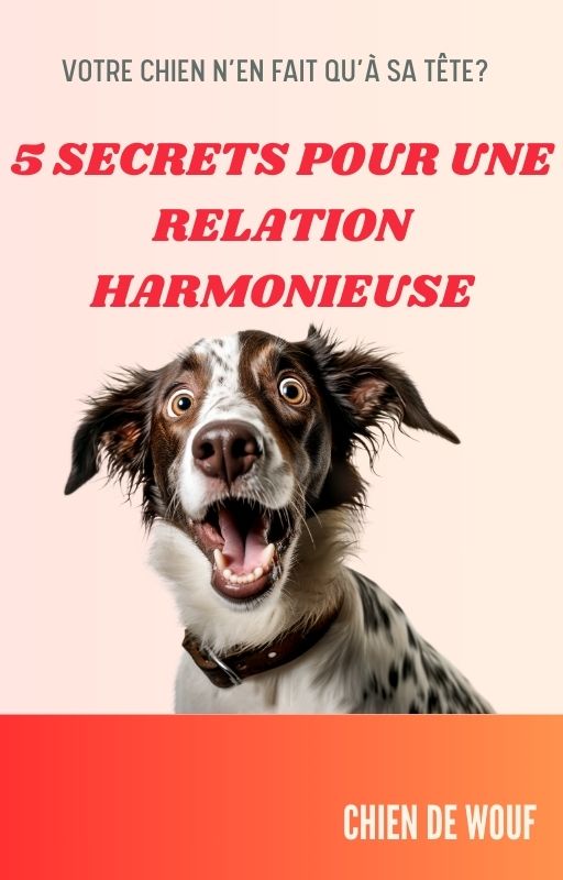 Couverture de l'ebook 5 secrets pour une relations harmonieuse