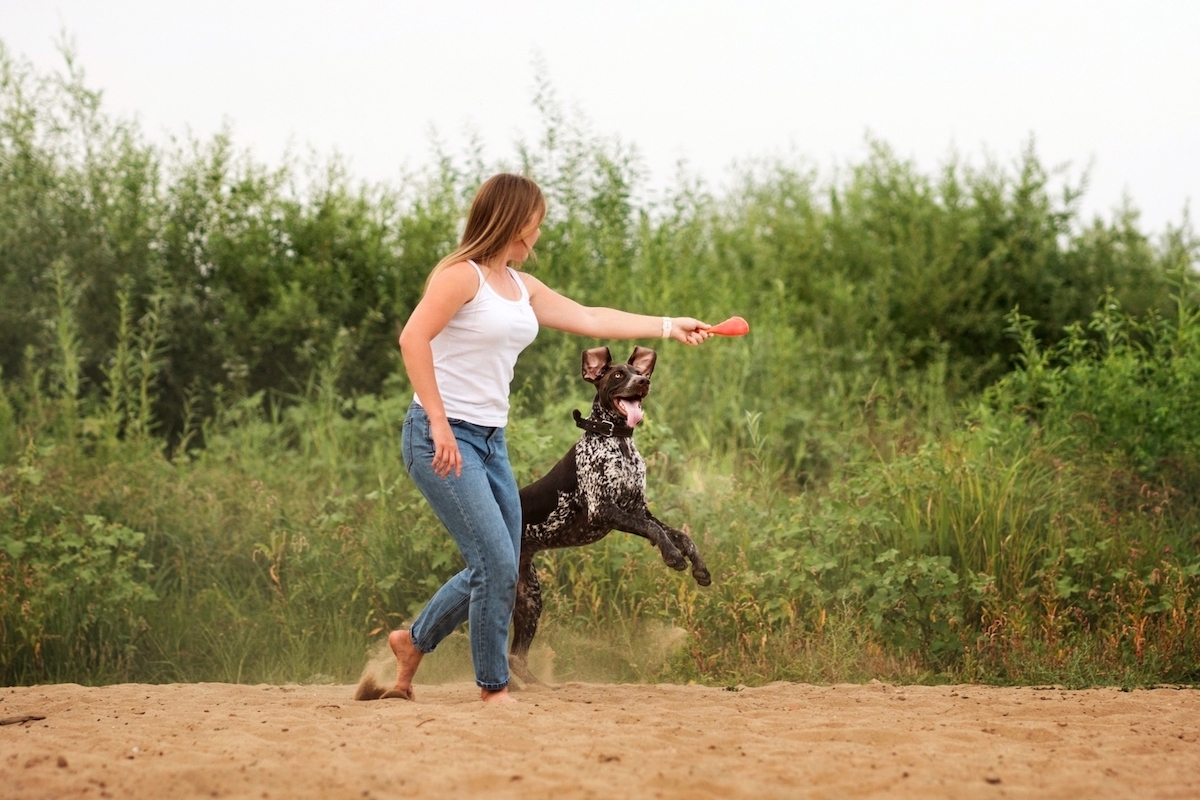 Combien de temps sortir et jouer avec son chien: une question essentielle pour son bien-être