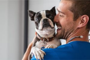 un vétérinaire qui est attentif à ses patients canins
