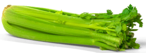 Le céléri est un légume qui est bénéfique pour les chiens.