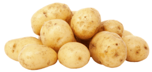La plupart des chiens adorent les pommes de terre.