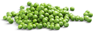 Les petits pois sont bons pour la santé des chiens.