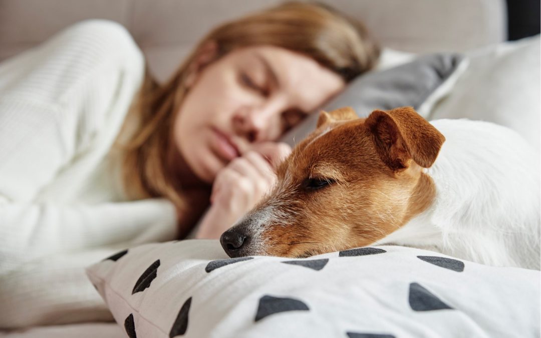 Dormir avec son chien, c’est bon ou c’est mauvais?