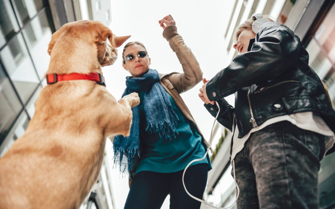 Comment empêcher son chien de sauter sur les gens