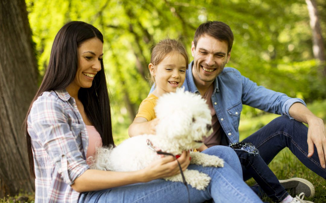 Adopter un chien avec de jeunes enfants : bonne idée ou pas?