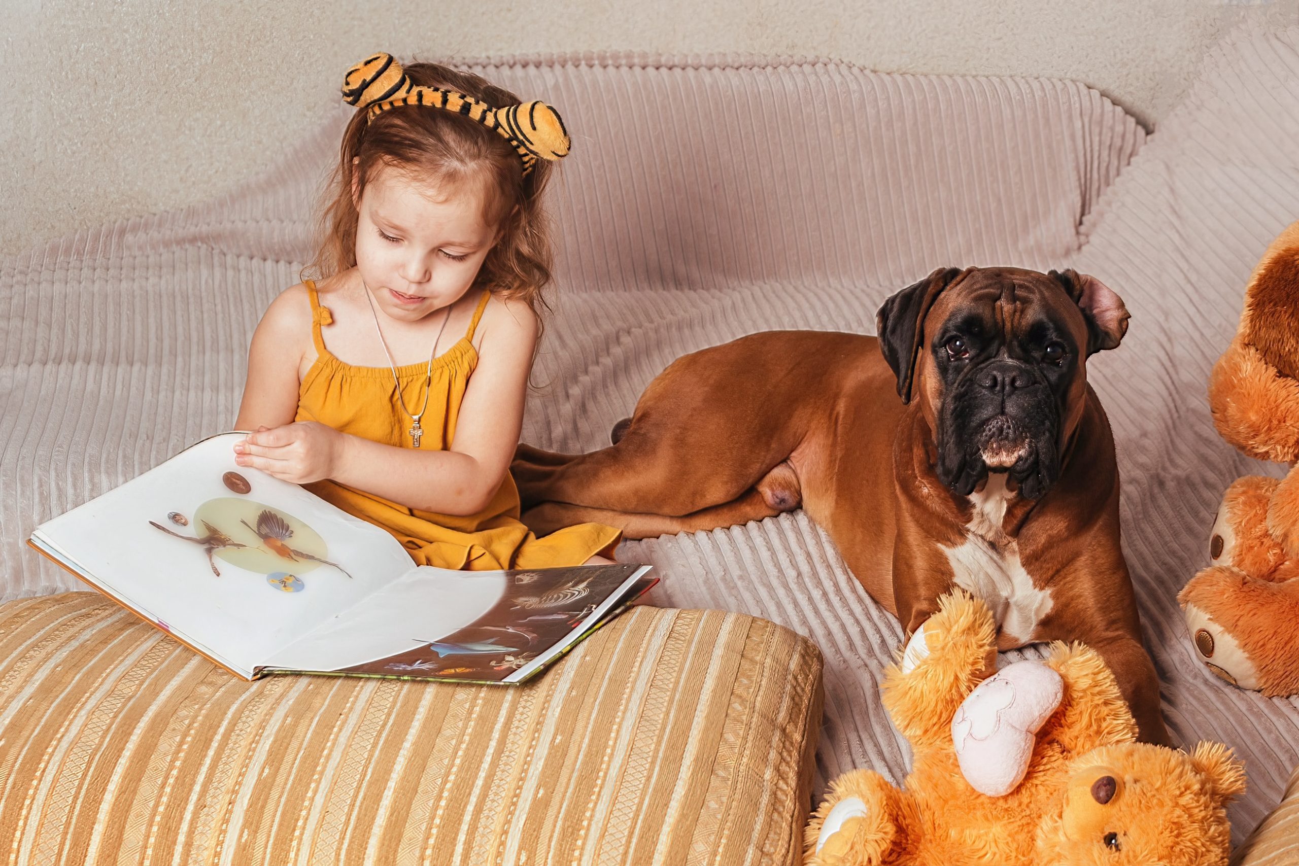 adopter un chien quand on est une famille avec enfants en bas âge