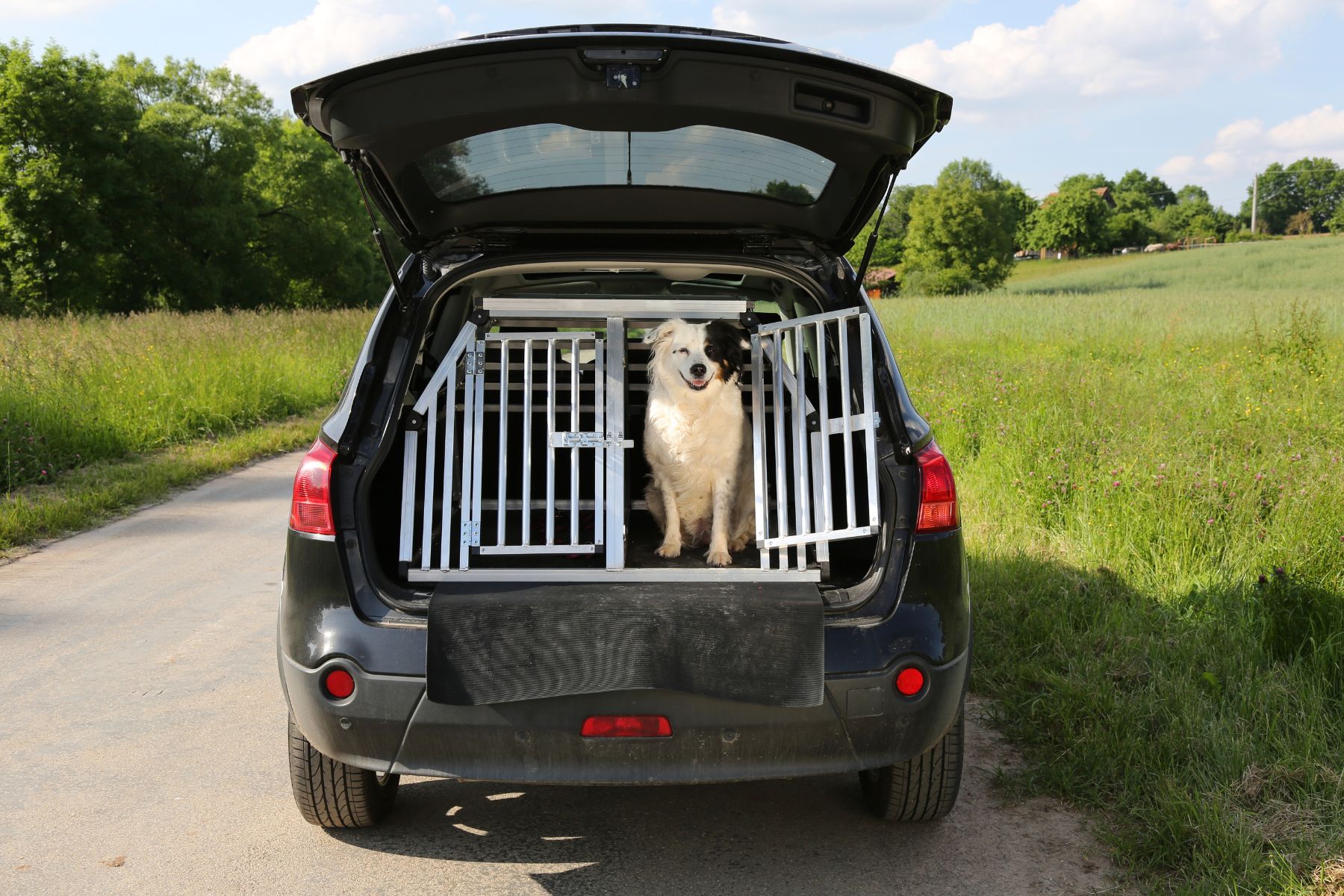 Une caisse de transport peut permettre d'éviter qu'un chien déteste être en voiture.