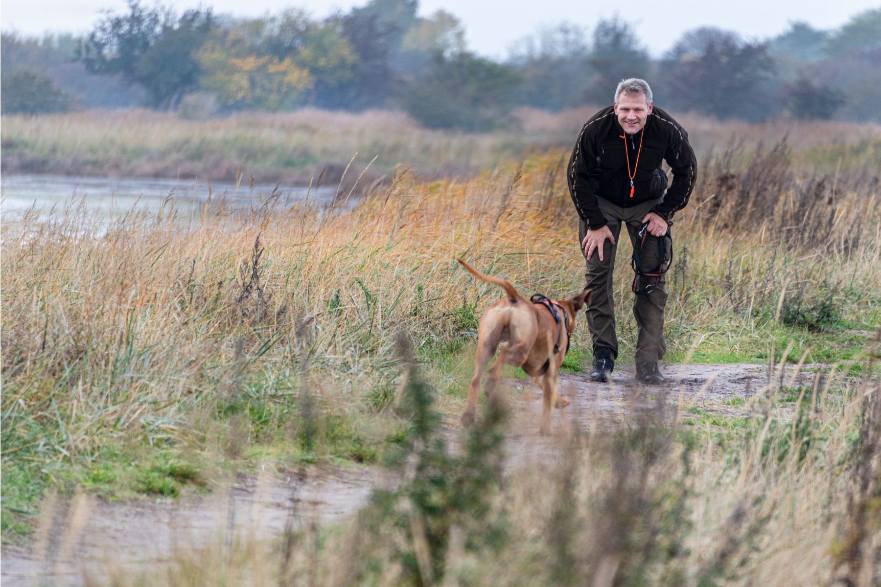 Chien qui revient joyeusement au rappel.