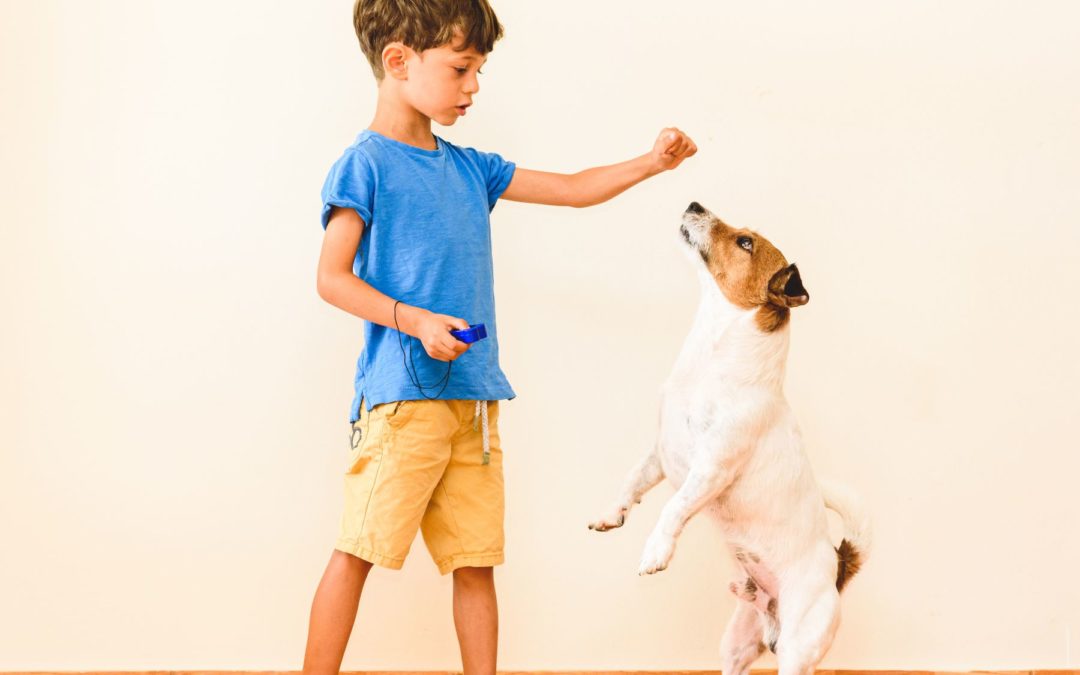Clicker Training : Comment ça marche et pourquoi ça fonctionne