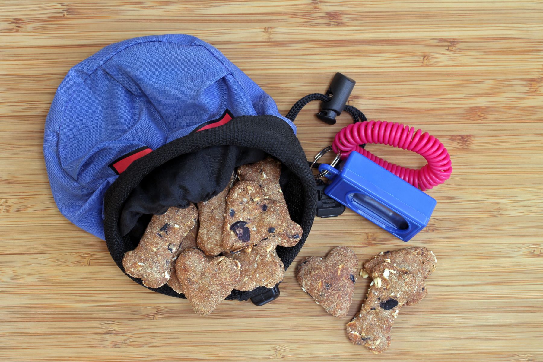 L'attirail du clicker training: un clicker, une pochette, des récompenses