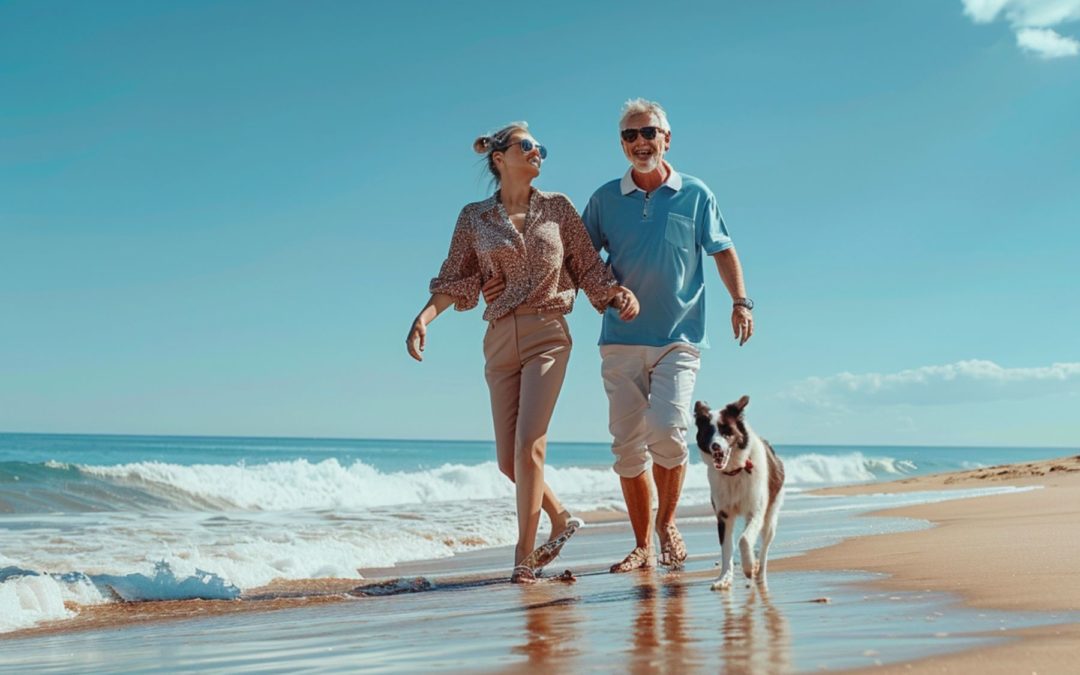 Adopter un chien à la retraite : c’est le bon moment ?