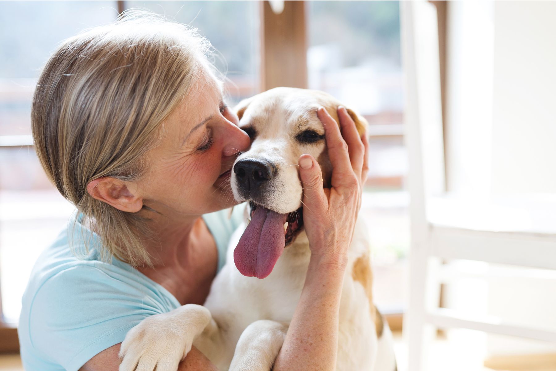 pourquoi votre chien vous suit partout Les chiens aiment suivre partout leur propriétaire.