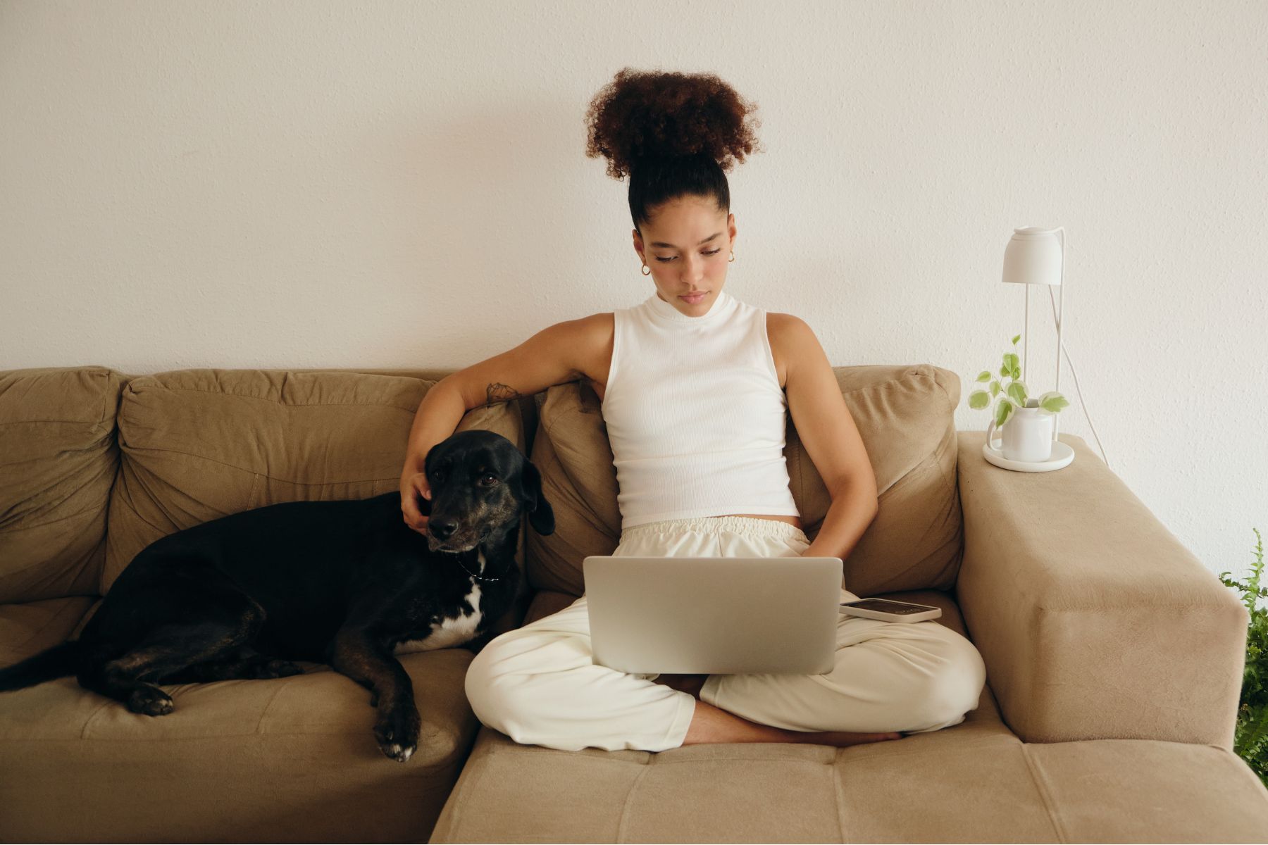 votre sress, notamment dû au travail, stresse votre chien Notre stress, notamment dû au travail et à exposition constante à des informations anxyogène se répercutent sur votre chien.